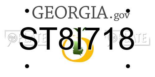 ST8I718 Georgia License Plate