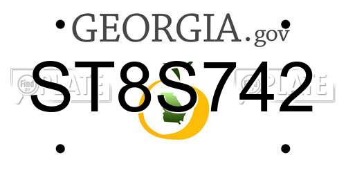 ST8S742 Georgia License Plate