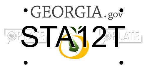 STA12T Georgia License Plate