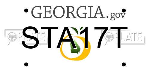 STA17T Georgia License Plate