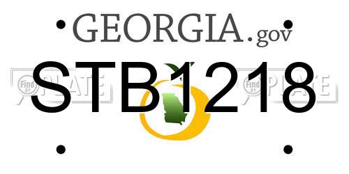 STB1218 Georgia License Plate