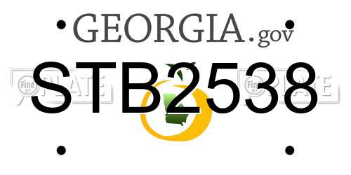 STB2538 Georgia License Plate