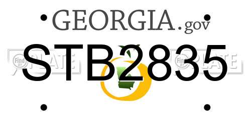 STB2835 Georgia License Plate