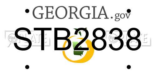 STB2838 Georgia License Plate