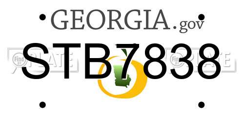 STB7838 Georgia License Plate
