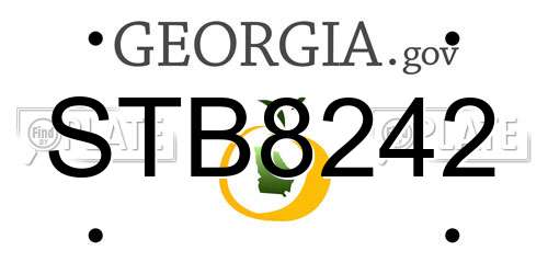 STB8242 Georgia License Plate