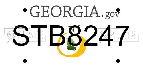 STB8247 Georgia License Plate