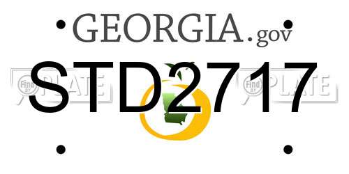 STD2717 Georgia License Plate