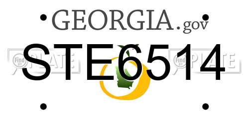 STE6514 Georgia License Plate