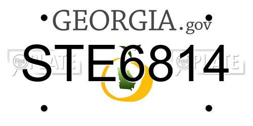 STE6814 Georgia License Plate