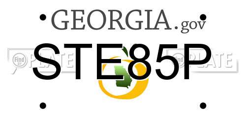 STE85P Georgia License Plate