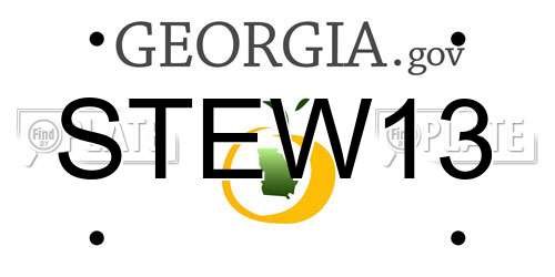 STEW13 Georgia License Plate
