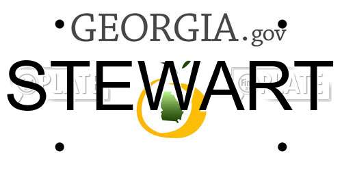 STEWART Georgia License Plate