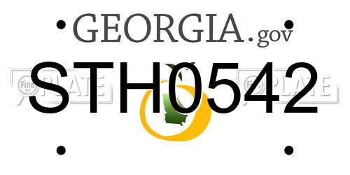 STH0542 Georgia License Plate