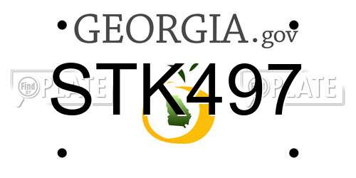 STK497 Georgia License Plate