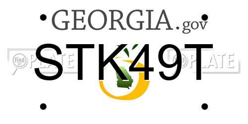 STK49T Georgia License Plate