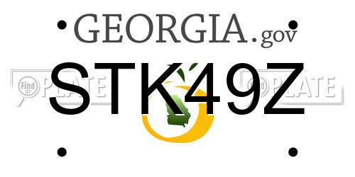 STK49Z Georgia License Plate