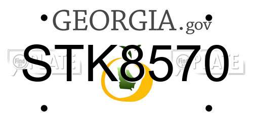 STK8570 Georgia License Plate