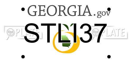 STLI37 Georgia License Plate
