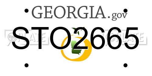 STO2665 Georgia License Plate
