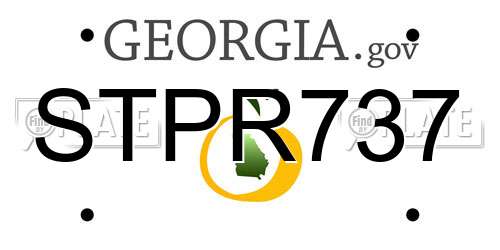 STPR737 Georgia License Plate
