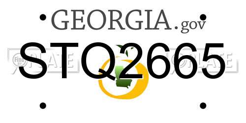STQ2665 Georgia License Plate