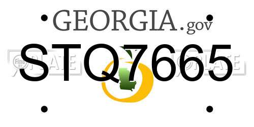 STQ7665 Georgia License Plate