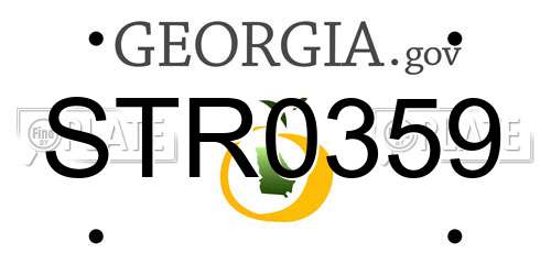 STR0359 Georgia License Plate