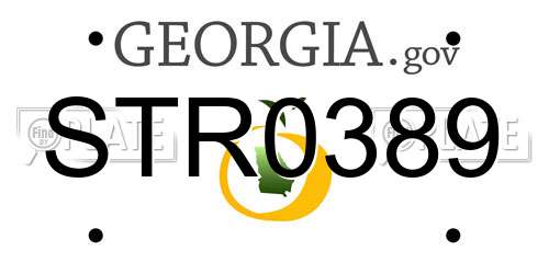 STR0389 Georgia License Plate