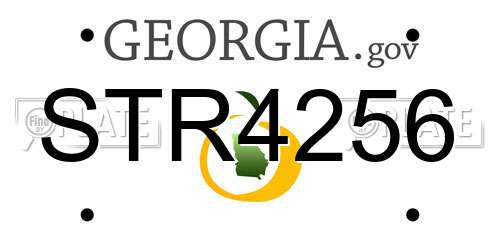 STR4256 Georgia License Plate