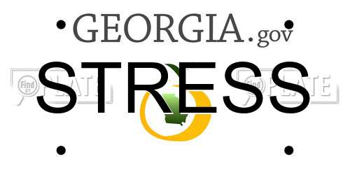 STRESS Georgia License Plate