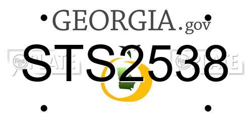 STS2538 Georgia License Plate