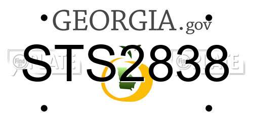 STS2838 Georgia License Plate