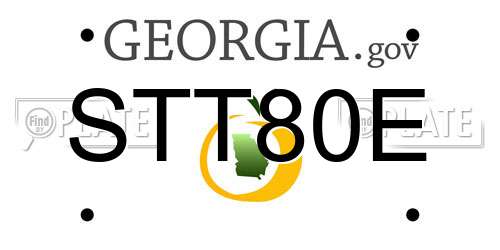 STT80E Georgia License Plate