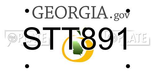 STT891 Georgia License Plate