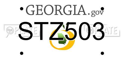 STZ503 Georgia License Plate