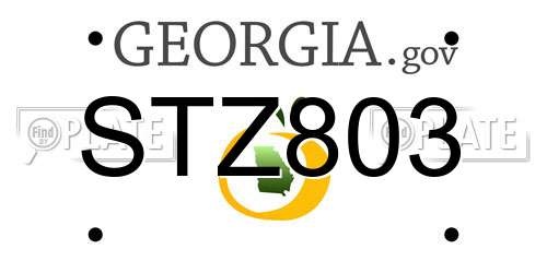 STZ803 Georgia License Plate