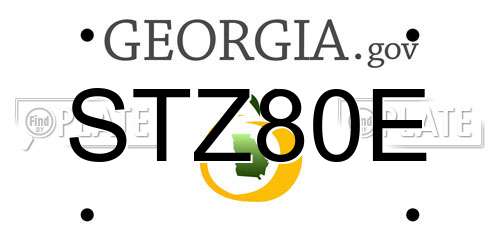 STZ80E Georgia License Plate