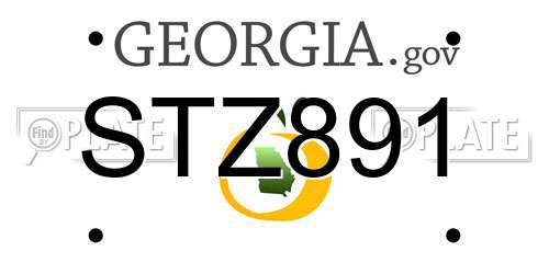 STZ891 Georgia License Plate