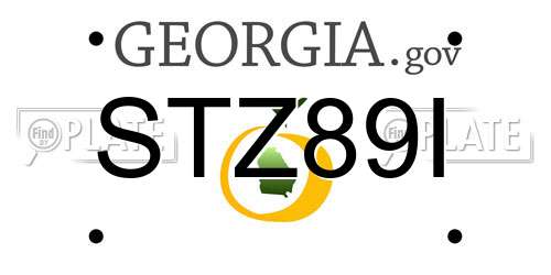 STZ89I Georgia License Plate