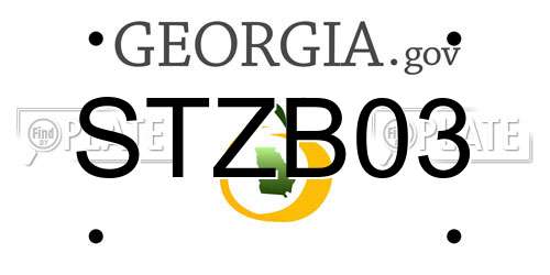 STZB03 Georgia License Plate