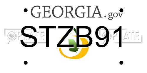 STZB91 Georgia License Plate