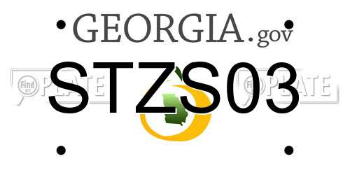 STZS03 Georgia License Plate