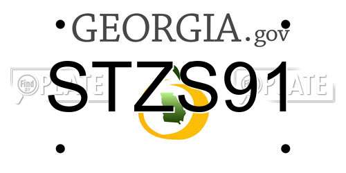 STZS91 Georgia License Plate