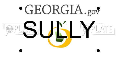 SULLY Georgia License Plate