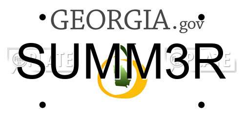 SUMM3R Georgia License Plate