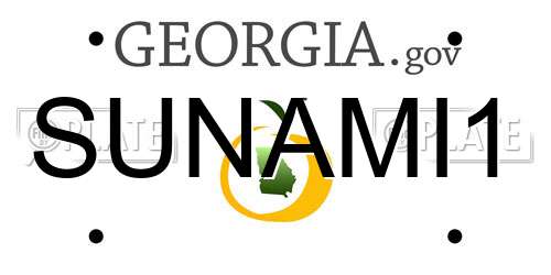 SUNAMI1 Georgia License Plate