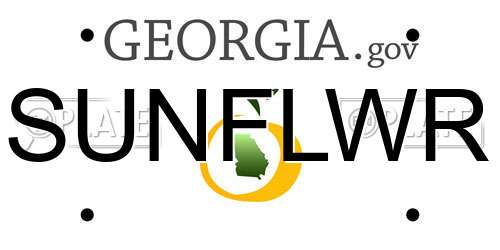 SUNFLWR Georgia License Plate