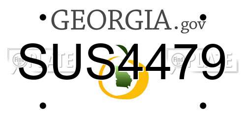 SUS4479 Georgia License Plate