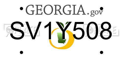 SV1Y508 Georgia License Plate